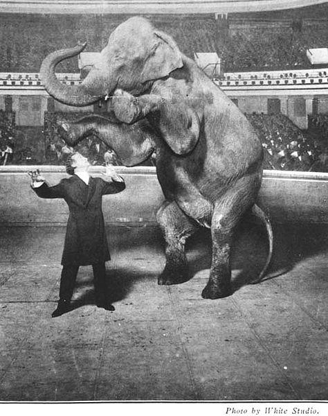 retro photo of Houdini and vanishing elephant