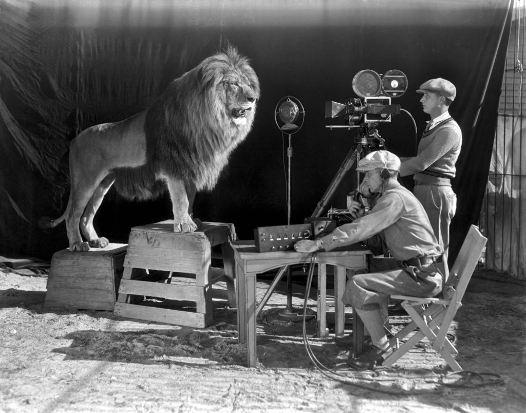 retro photo of lion, roaring for Metro Goldwyn Mayer intro