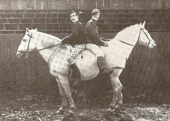 vintage fake photo of a two headed horse