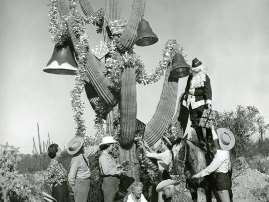 Santa Claus decorating a saguaro cactus, National Park Service, Arizona, 1955