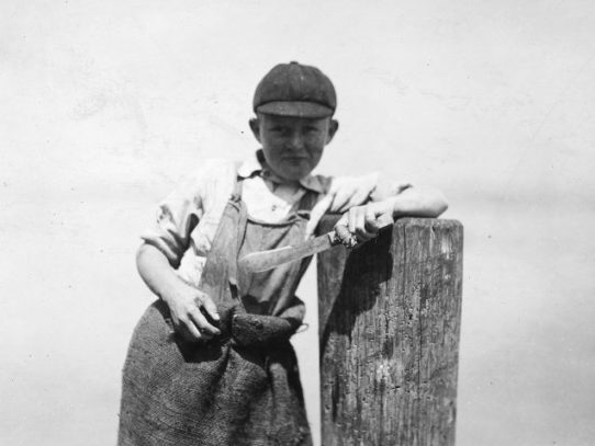Little Worker on a Canning Factory, Eastport, Maine, 1911