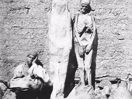 Egyptian mummy seller, 1875