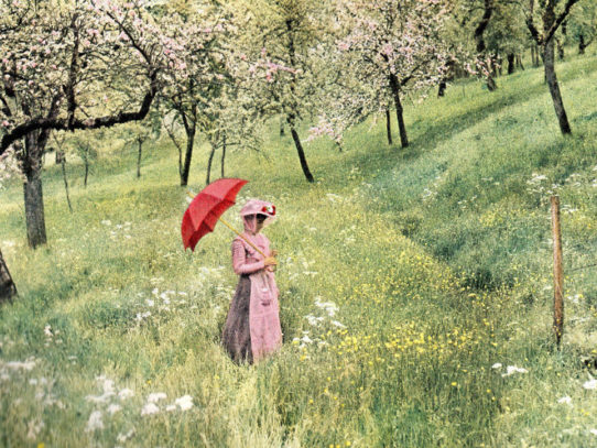 One of The First Lumière Autohrome Pictures, 1907