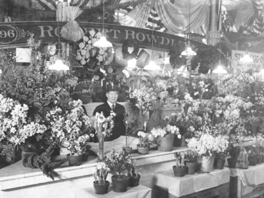 Flower seller in Center Market, Washington, D.C., 1915