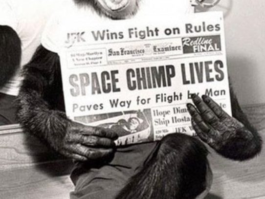 Space Chimp Lives! 1961