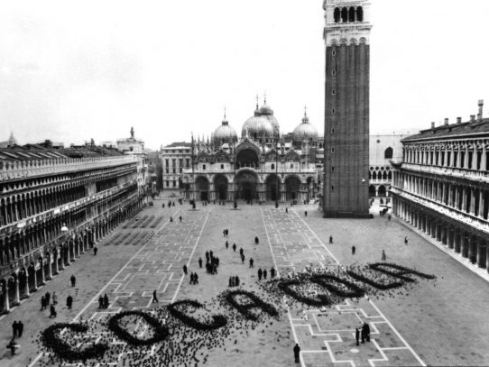 Coca-Cola advertising made by pigeons