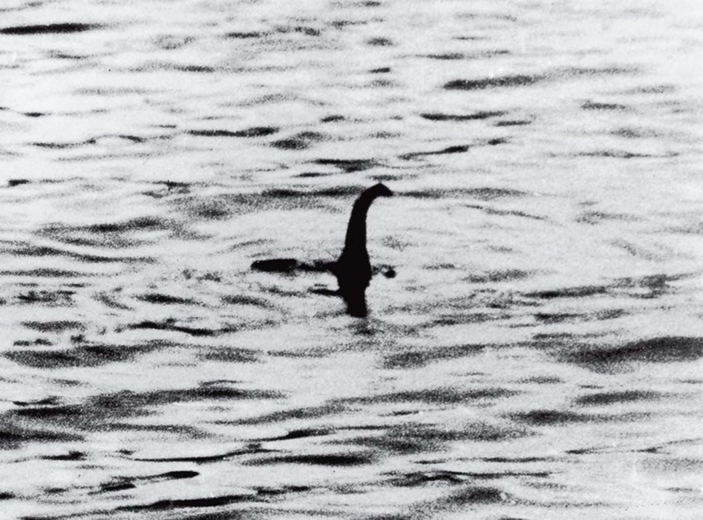 The Loch Ness Monster, Unknown, 1934