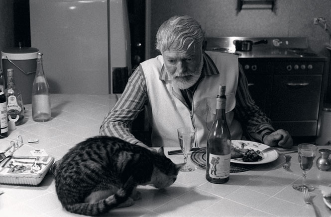 Hemingway, Alcohol and a Cat