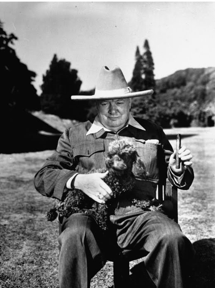 Winston Churchill an artist